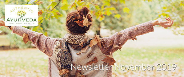 Header_Newsletter_11_19